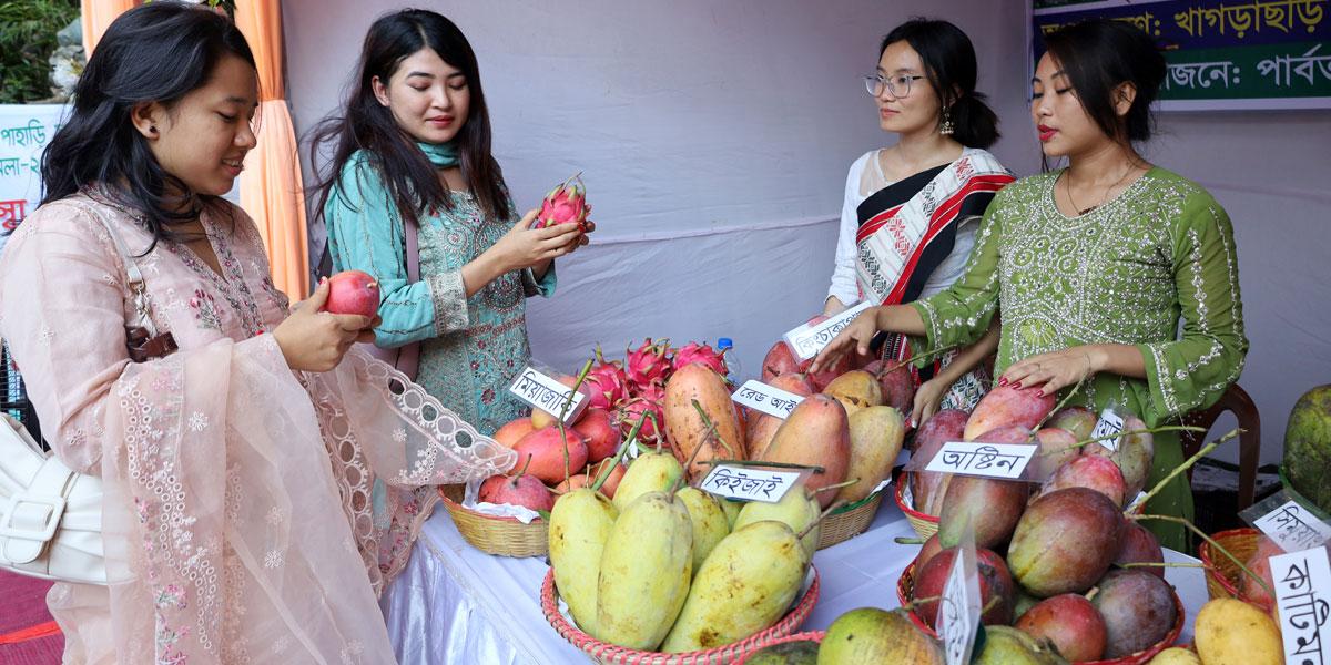 পাহাড়ি ফল বাহারি মেলা
