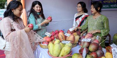 পাহাড়ি ফল বাহারি মেলা