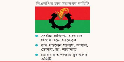 সিনিয়র কয়েকজনকে বাদ দিয়ে ‘ভাঙা’ কমিটি জোড়া