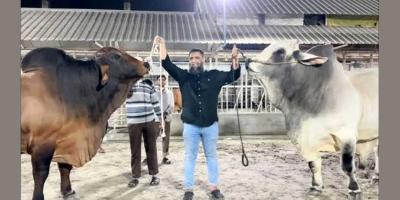 সাদিক অ্যাগ্রোর ১ কোটি ৩১ লাখ টাকার ভ্যাট ফাঁকি