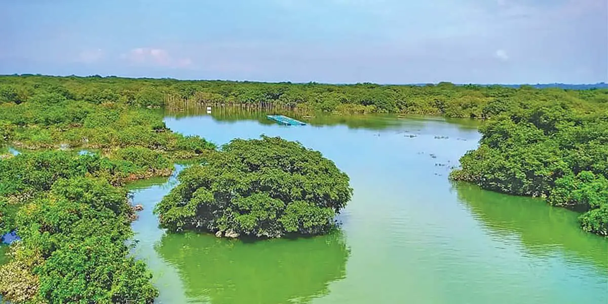 এক বৃষ্টির দিনে রাতারগুলে