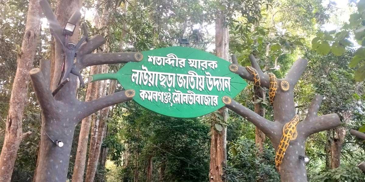 পর্যটকশূন্য লাউয়াছড়ায় বন্যপ্রাণীর প্রাণচাঞ্চল্য