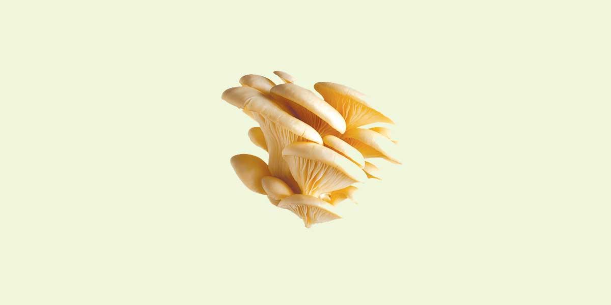 জিঙ্কের অভাব হলে