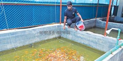 রঙিন মাছ চাষ করে সফল রাহাত