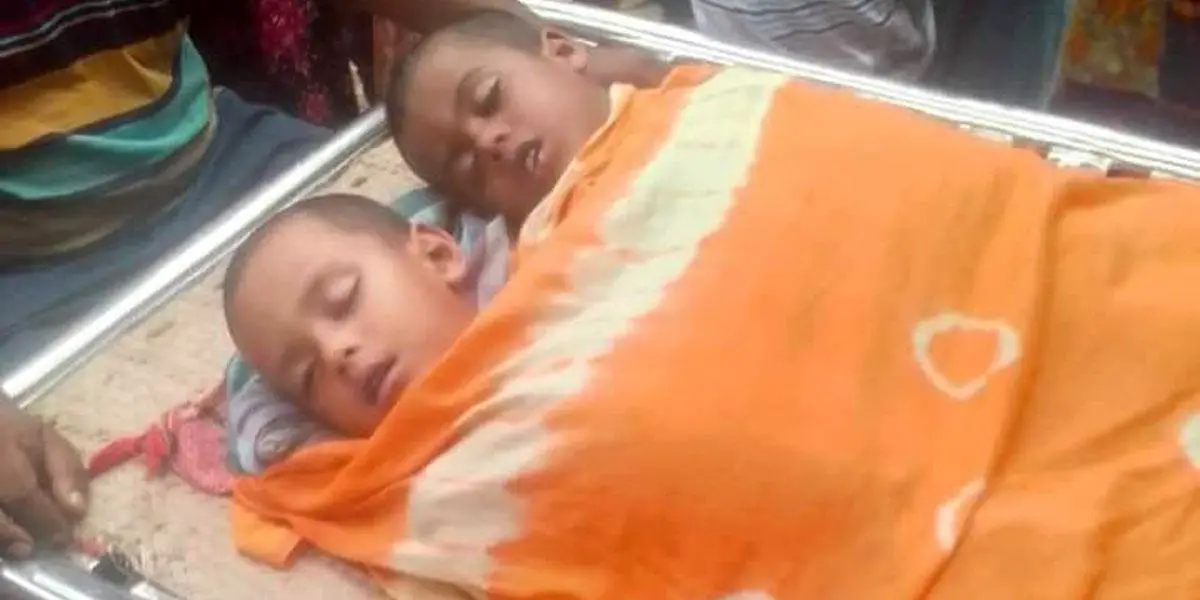 পুকুরে শাপলা ফুল তুলতে গিয়ে প্রাণ গেল দুই শিশুর