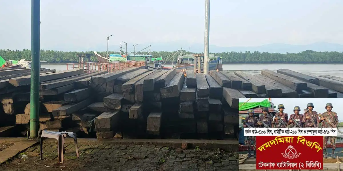 মায়ানমার থেকে অবৈধ পথে আনা ১০ কোটি টাকার কাঠ জব্দ