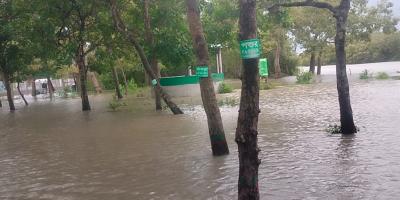 পানিতে তলিয়েছে সুন্দরবন