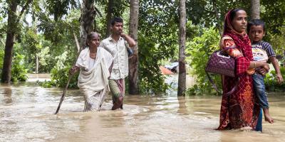 লক্ষ্মীপুরে বন্যার মধ্যে দেখা দিয়েছে সাপের উপদ্রব
