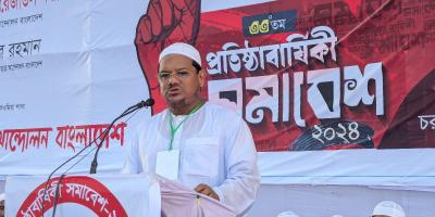 একটি গোষ্ঠী চাঁদাবাজি-দখলদারি শুরু করেছে : চরমোনাই পীর