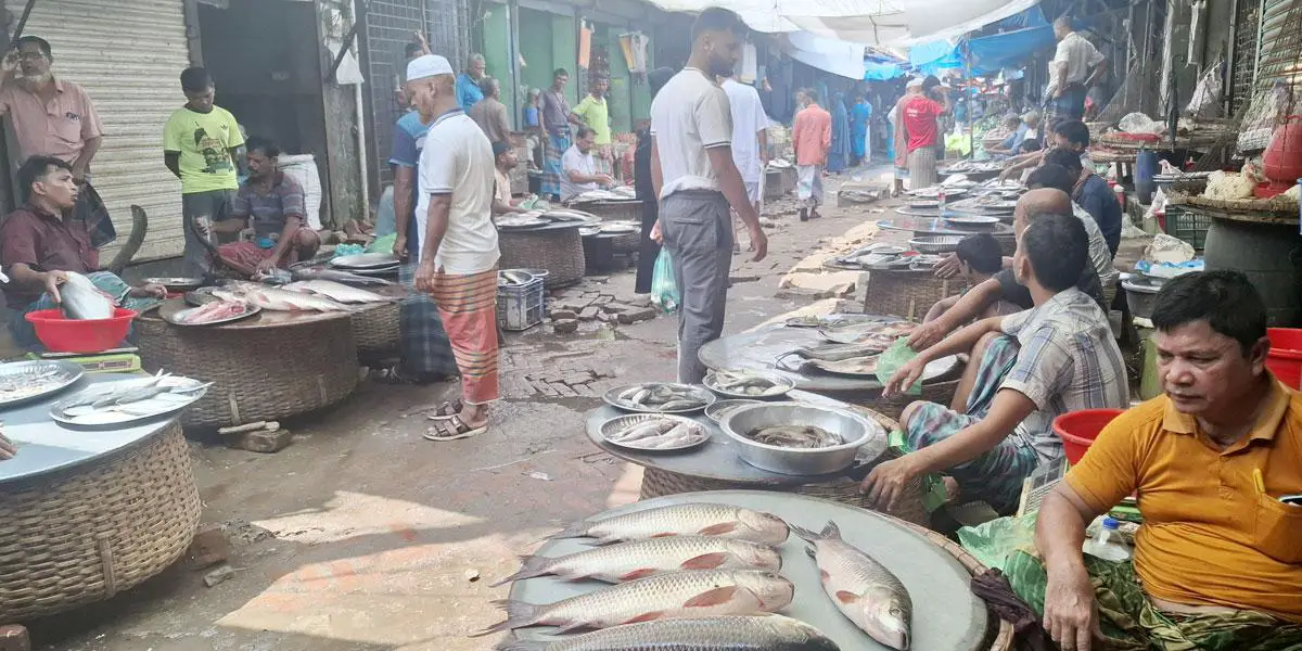 সহযোগিতা পেলে মাছ উৎপাদন বাড়বে