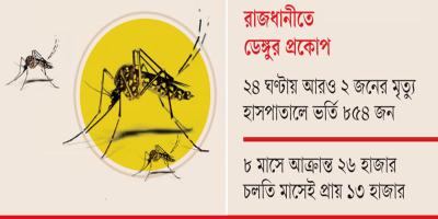 মশারির চাহিদা ও দাম বেড়েছে