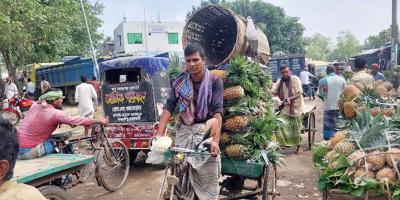 মধুপুরের আনারস পেল জিআই পণ্যের স্বীকৃতি