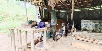 করাতকলে হুমকিতে জীববৈচিত্র্য