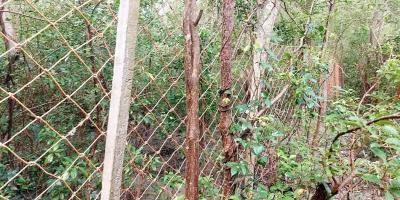 লোকালয়ে বন্যপ্রাণীর আসা ঠেকাতে নাইলনের বেড়া