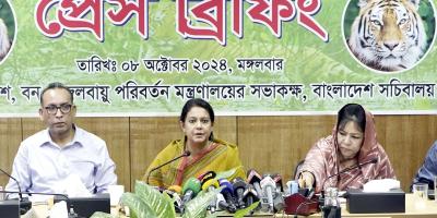 সুন্দরবনে বাঘ বৃদ্ধির হার ৯.৬৫ শতাংশ: পরিবেশ উপদেষ্টা