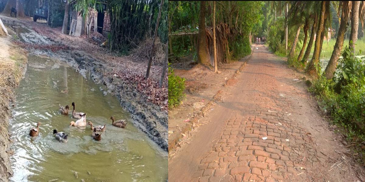 খবরের কাগজ ও যশোর