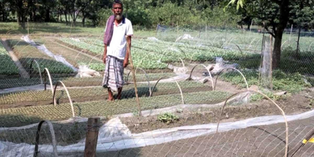 ঈশ্বরদীতে শীতের সবজি চাষে শঙ্কায় কৃষক