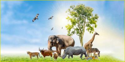প্রাণীদের আওয়াজ স্বপ্নে দেখার ব্যাখ্যা