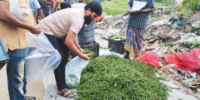 আখাউড়ায় ৫০০ টাকা ছুঁয়েছে কাঁচা মরিচ