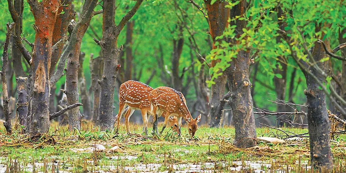শীত মৌসুমে দর্শনীয় স্থান