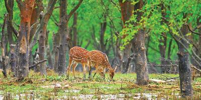 শীত মৌসুমে দর্শনীয় স্থান
