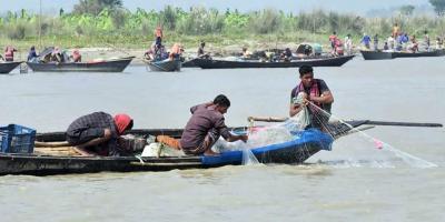 রাজবাড়ীতে নিষিদ্ধ সময়েও মা ইলিশ ধরার মহোৎসব