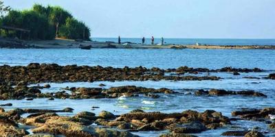 সেন্ট মার্টিনে চার মাস পর্যটক থাকবে সীমিত