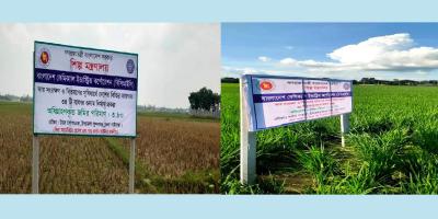 বাফার গুদাম নির্মাণ প্রকল্পে ছয় বছরে অগ্রগতি ১৩ শতাংশ
