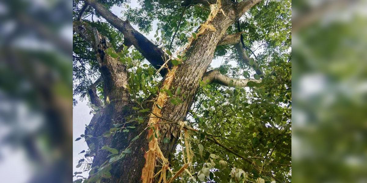 হাতিয়ায় বজ্রপাতে শিশুর মৃত্যু