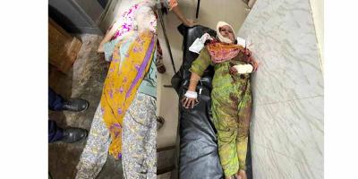 বসতঘরে ঢুকে তরুণীকে কুপিয়ে হত্যা