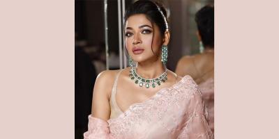জীবনসঙ্গীর খোঁজে আজমেরী হক বাঁধন