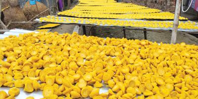 তরকারির চাহিদা মেটাচ্ছে কুমড়ো বড়ি