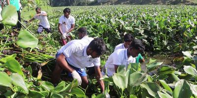 তুলসীগঙ্গা নদী পরিষ্কার