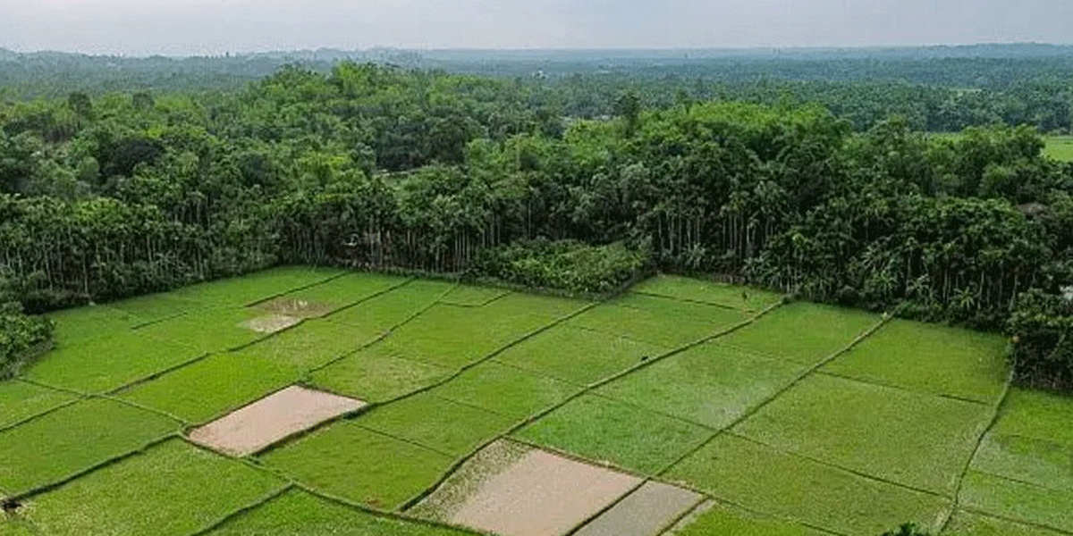 ৭০০ একর বনভূমির বন্দোবস্ত বাতিল