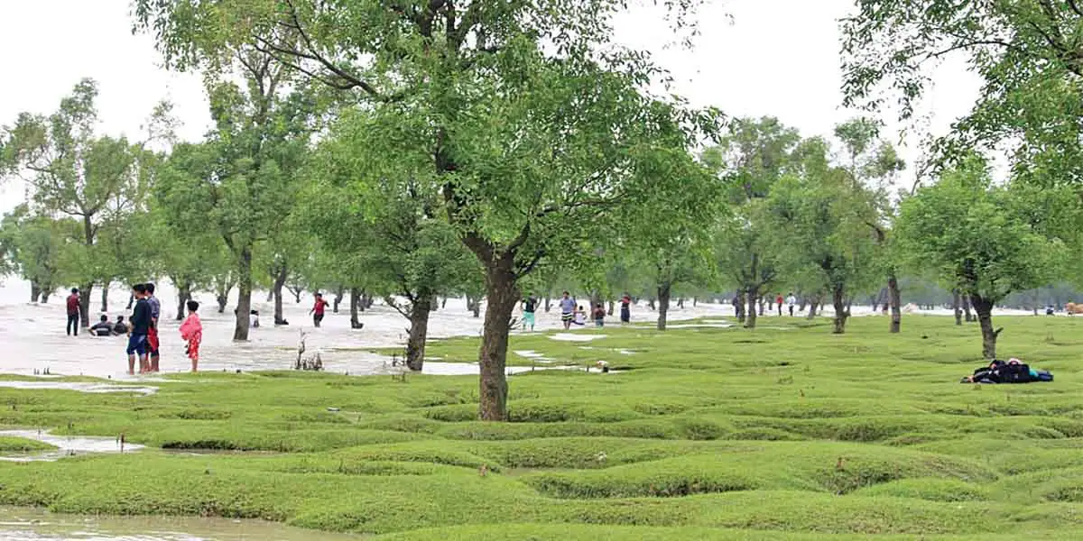 ঘুরে আসুন গুলিয়াখালী সমুদ্রসৈকত