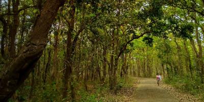 ভয়াবহ পরিবেশ বিপর্যয়ের মুখে গাজীপুর: গবেষণা
