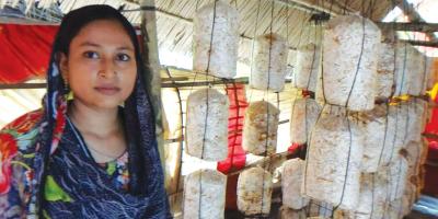 মাশরুম-কম্পোস্ট সারে সাফল্য সুমির