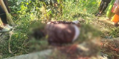 নারায়ণগঞ্জে অটোরিকশা চালকের গলাকাটা মরদেহ উদ্ধার