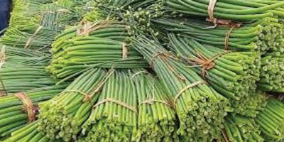 পেঁয়াজের ফুলকির চড়া দাম
