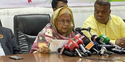 শেখ হাসিনাসহ পালিয়ে যাওয়া নেতারা দেশ অস্থিতিশীল করার চেষ্টা করছে: সেলিমা রহমান