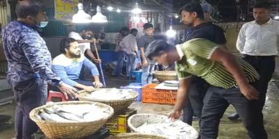 সরবরাহ কমে যাওয়ায় ইলিশের দাম চড়া