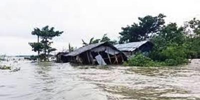 মৎস্য ও প্রাণিসম্পদ খাতে ২ হাজার ৩২৭ কোটি টাকা ক্ষতি