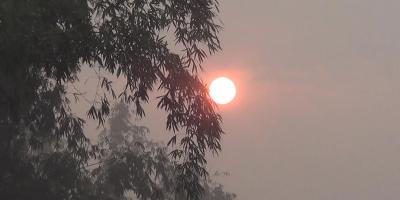 দেশের সর্বনিম্ন তাপমাত্রা পঞ্চগড়ে