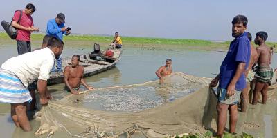 জলমহালে বিষ দিয়ে ২ কোটি টাকার মাছ মারার অভিযোগ