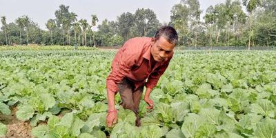 শীতের সবজি চাষে অক্ষয়ের সফলতা