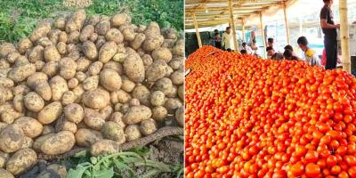 আলুর দাম কমলেও চড়া টমেটো
