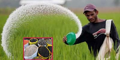সারসংকটের কোনো শঙ্কা নেই