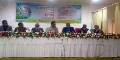 রাজশাহীতে বিনা উদ্ভাবিত জাত সম্প্রসারণ ও শস্যবিন্যাসে অন্তর্ভুক্তিকরণ কর্মশালা