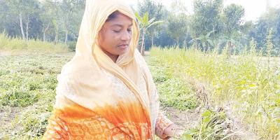 বাদাম চাষ করে স্বাবলম্বী জেসমিন