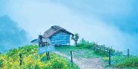 মিরিঞ্জা ভ্যালির রূপে মুগ্ধ হতে চাইলে